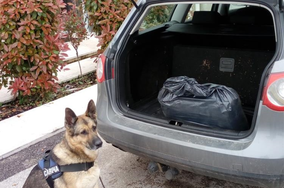 Foto: Carinska uprava screenshot