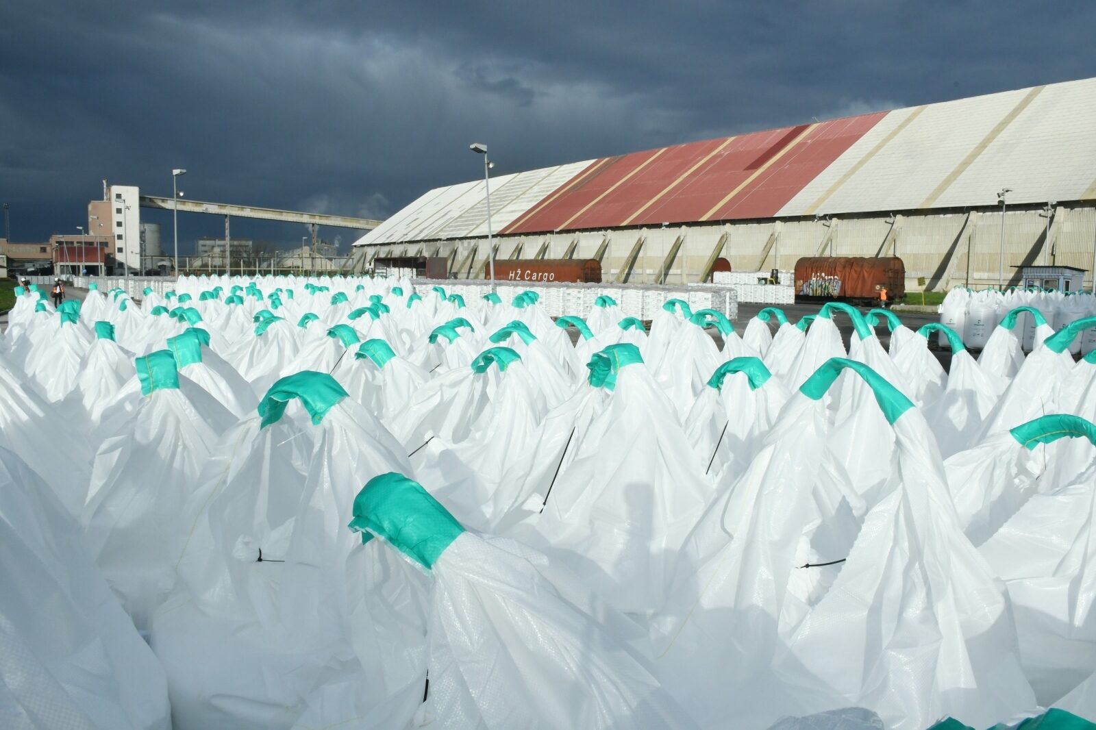 Foto: Nikola Ćutuk / Pixsell