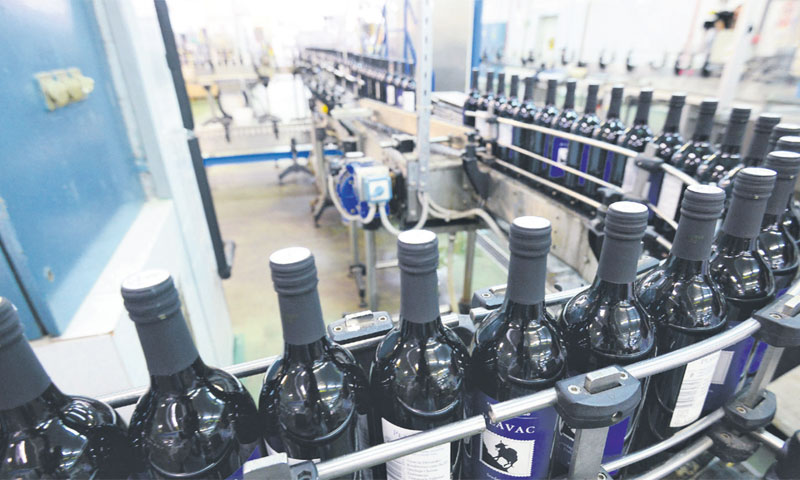 Slovaci kažu kako su pripravni investirati do 25 milijuna eura/Marko Prpić/PIXSELL