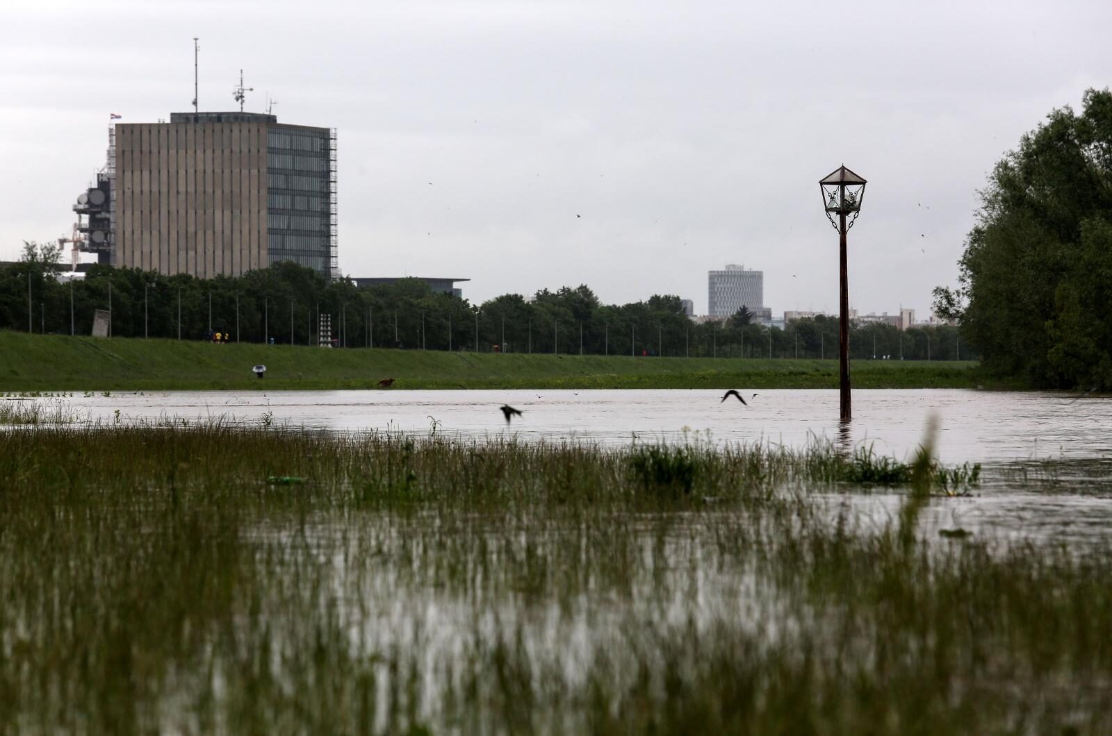 Foto: Marin Tironi/PIXSELL