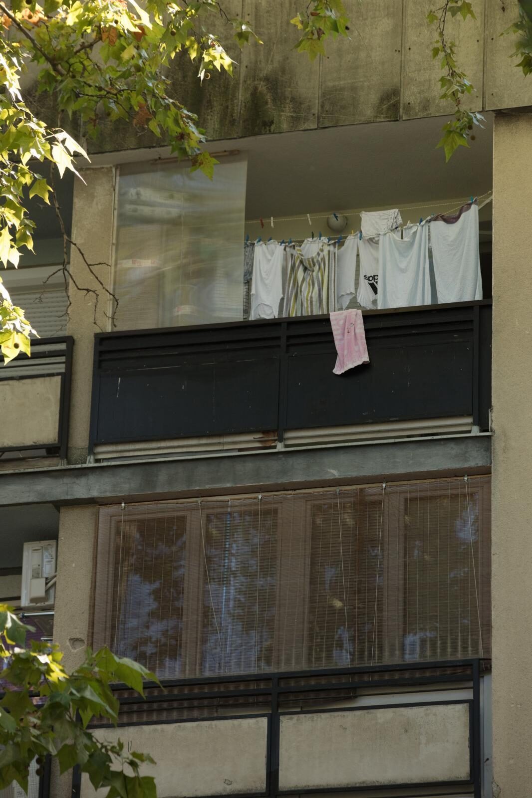 Foto: Dubravka Petrić / Pixsell