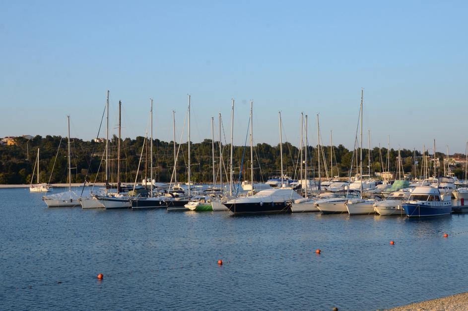 Foto: Dusko Marusic/PIXELL