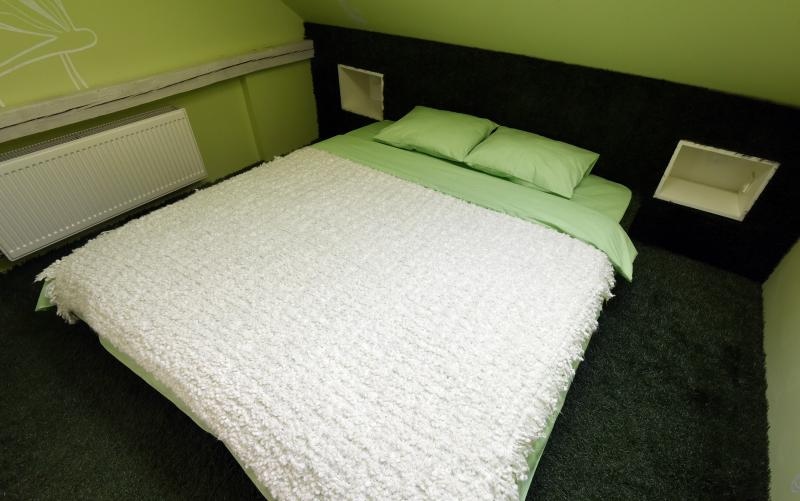 Foto: Davor Višnjić / Pixsell