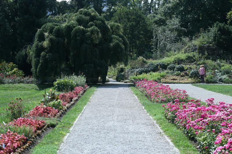 Foto: Sanjin Strukic/PIXSELL