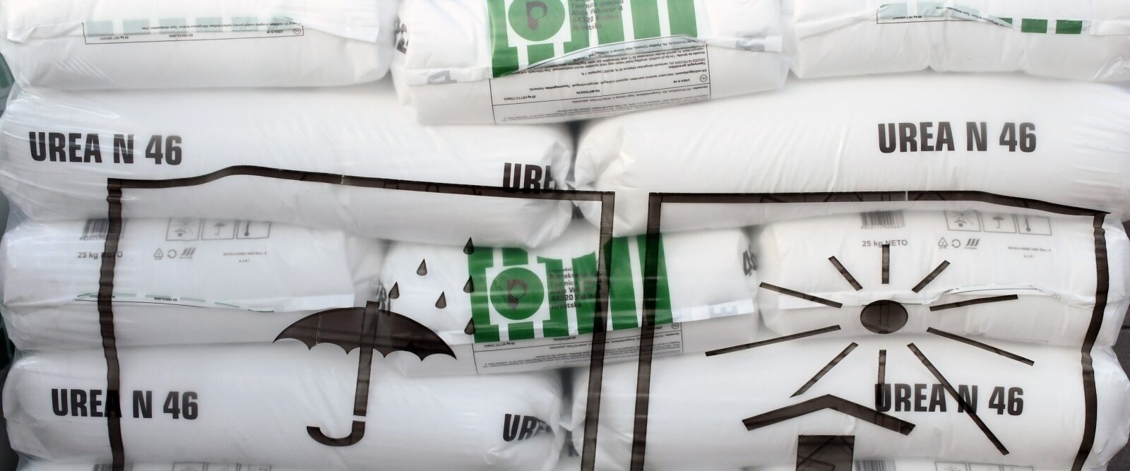 Foto: Nikola Ćutuk / Pixsell