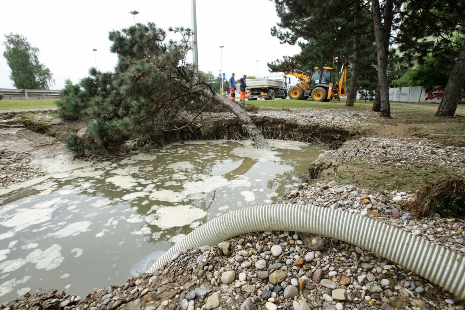 Foto: Filip Kos/PIXSELL