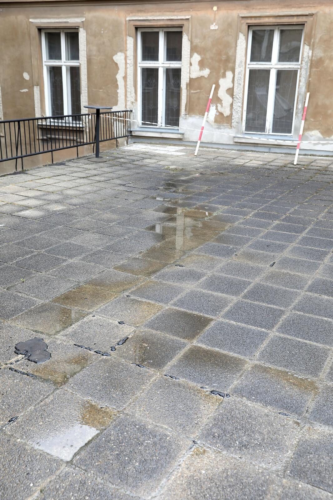 Foto: Patrik Macek/PIXSELL