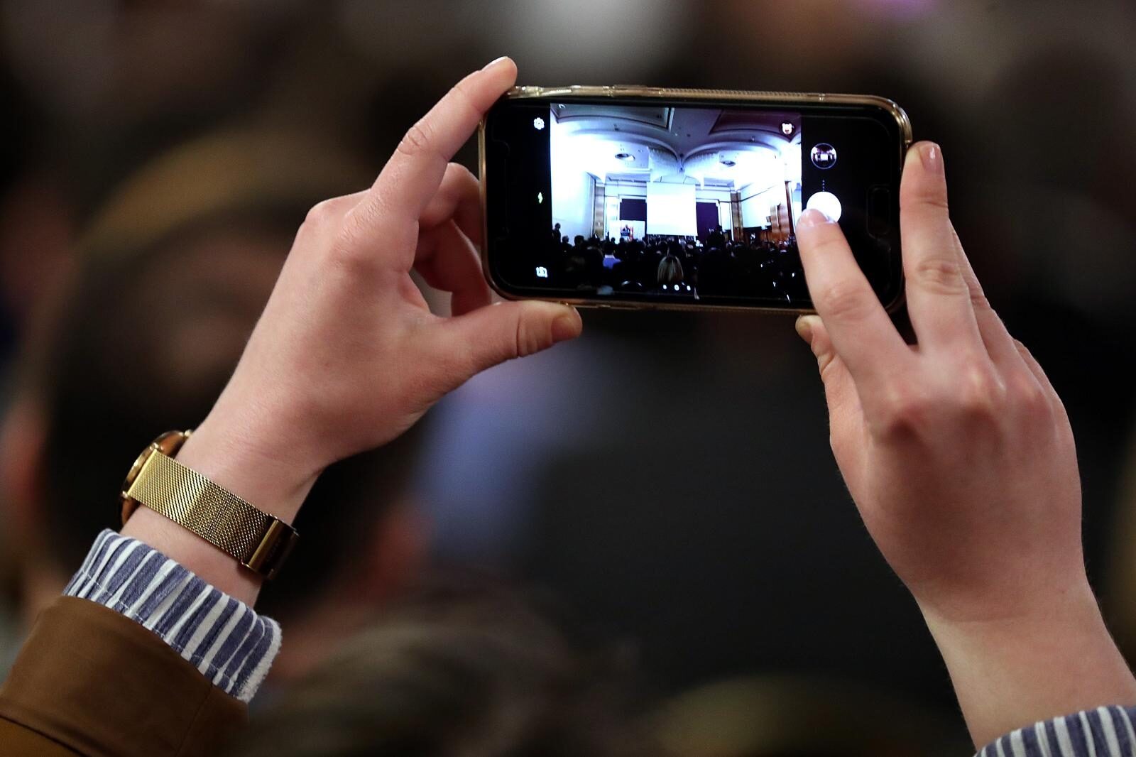 Foto: Goran Stanzl/PIXSELL