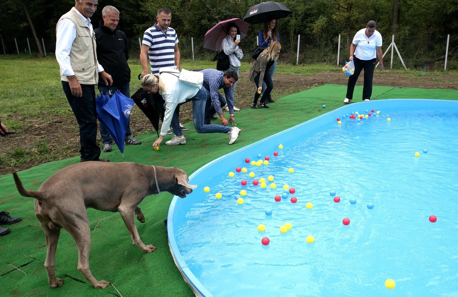 Foto: Žarko Bašić / Pixsell