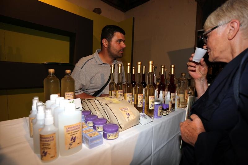 Foto: Goran Kovacic/PIXSELL