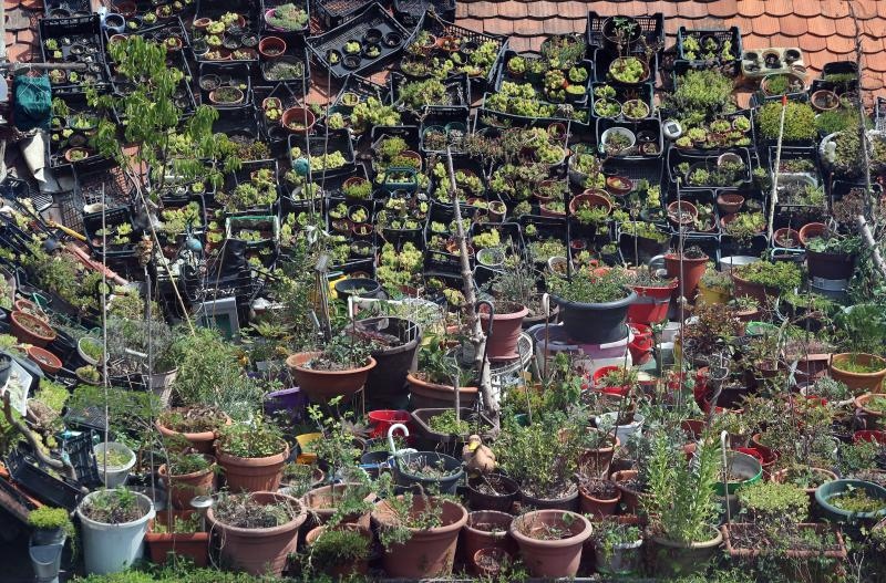 Foto: Sanjin Strukic/PIXSELL