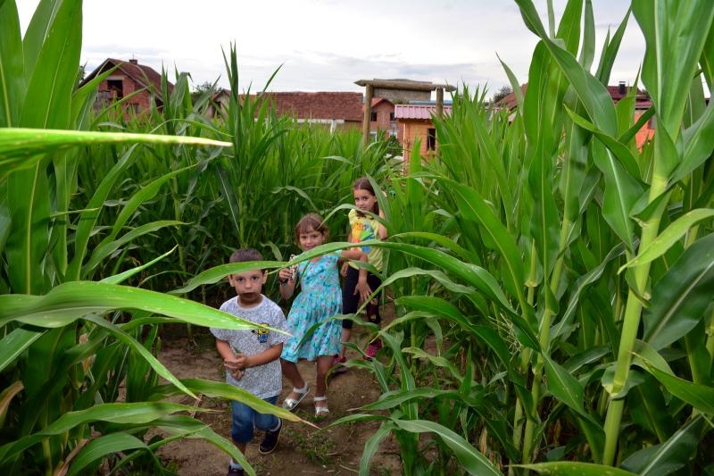 Foto: Ivica Galovic/PIXSELL