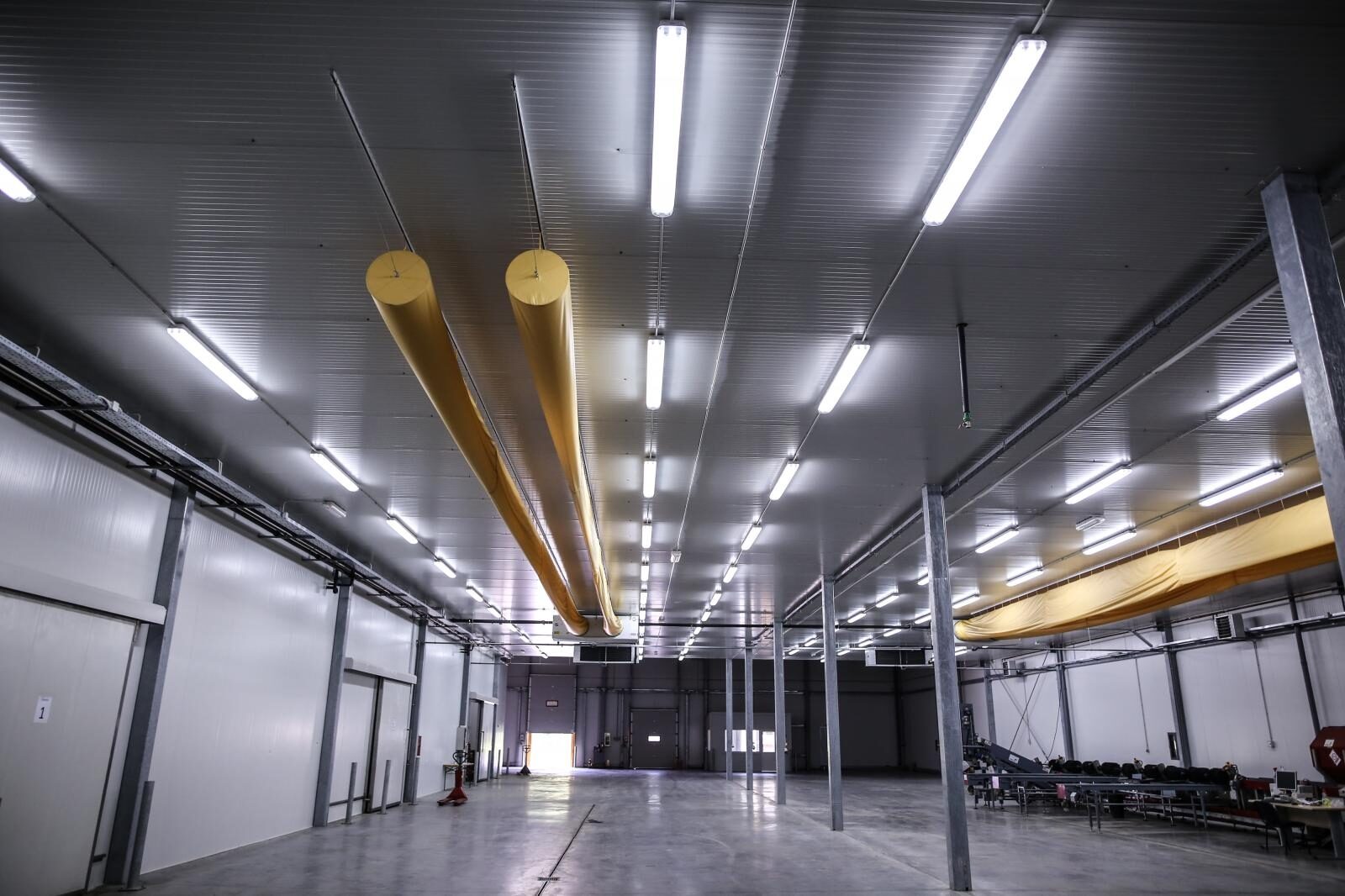 Foto: Igor Soban/PIXSELL