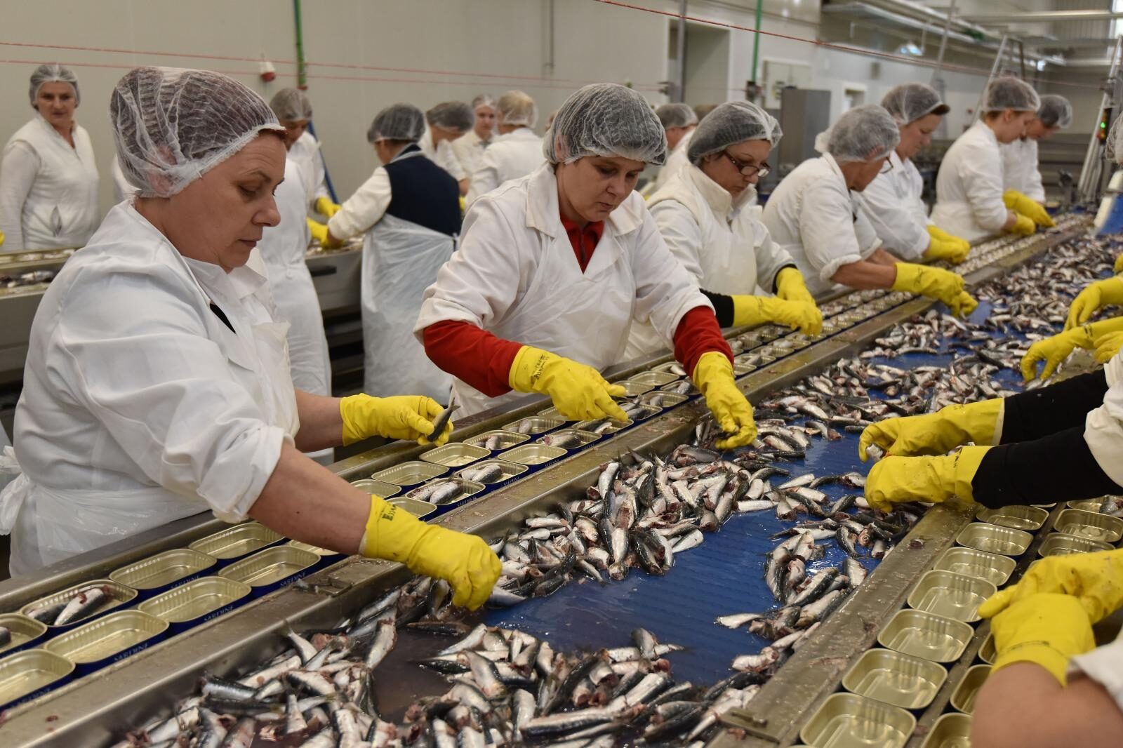 Foto: Duško Marušić / Pixsell