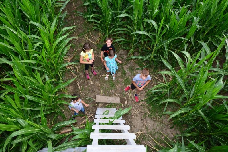 Foto: Ivica Galovic/PIXSELL