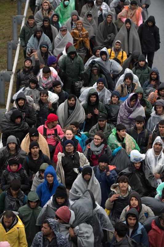 Foto: Srđan Ilić/PIXSELL