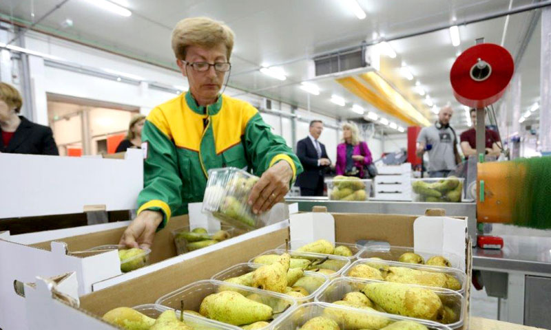 Foto: Žarko Bašić/PIXSELL