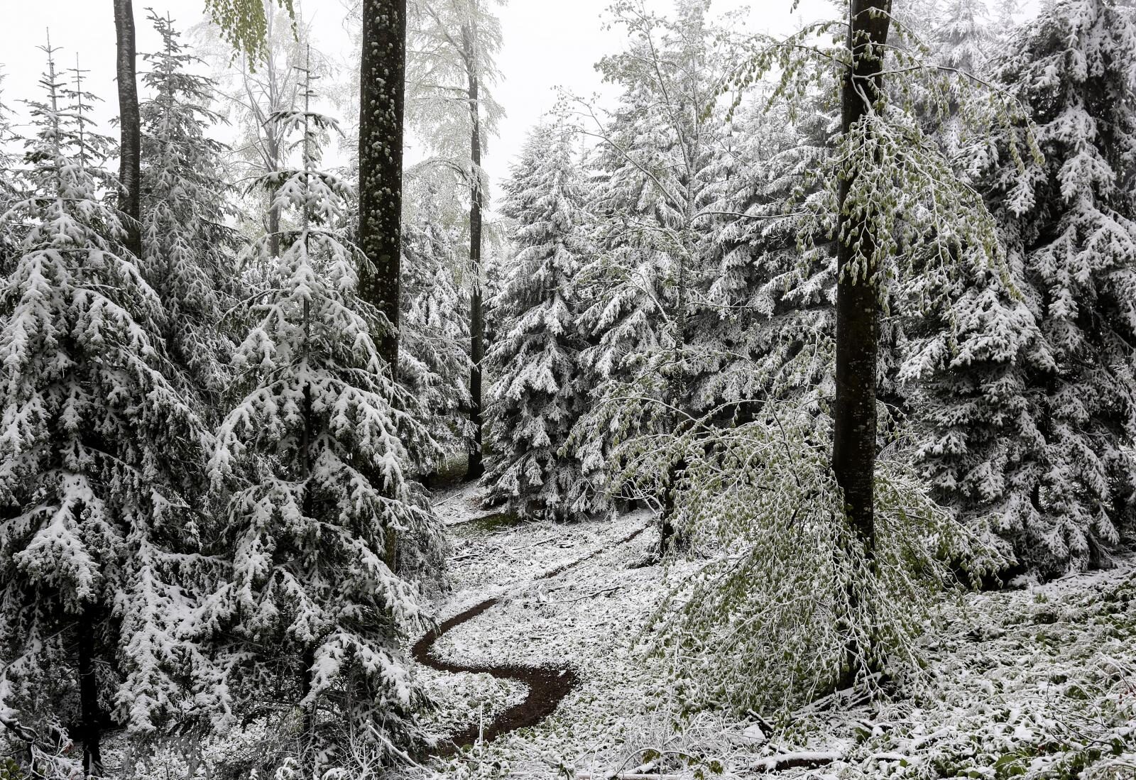 Foto: Marko Prpic/PIXSELL