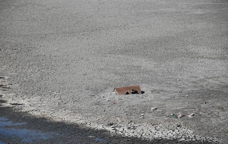 Foto: Srđan Ilić / Pixsell