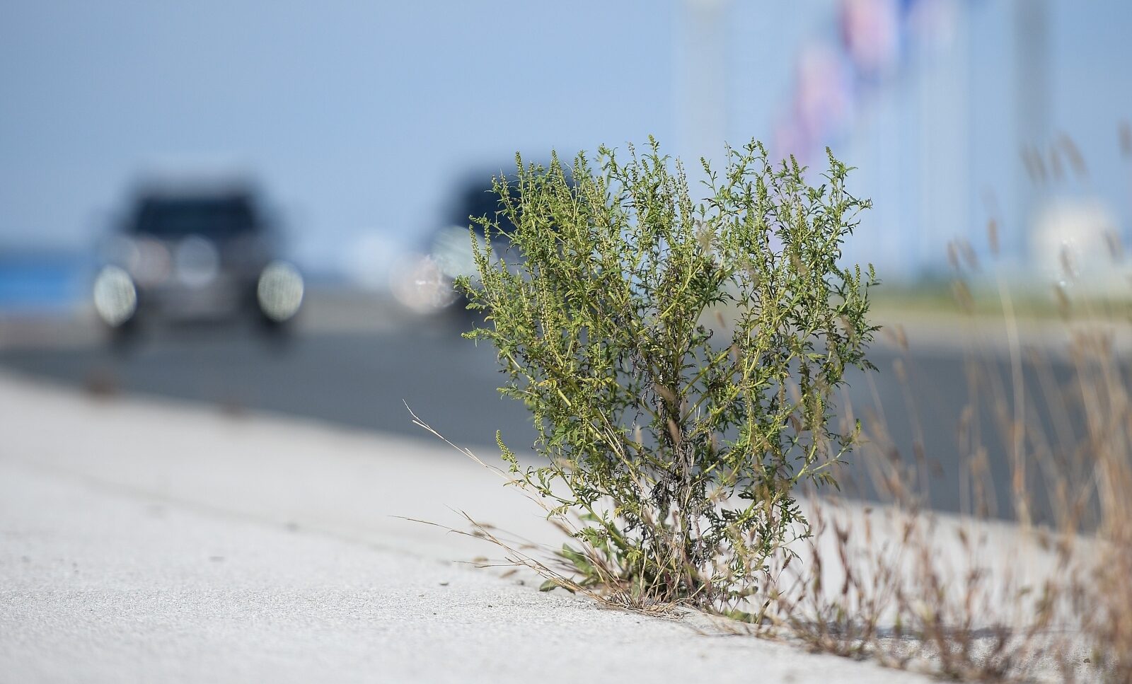 Foto: Marko Prpic/PIXSELL