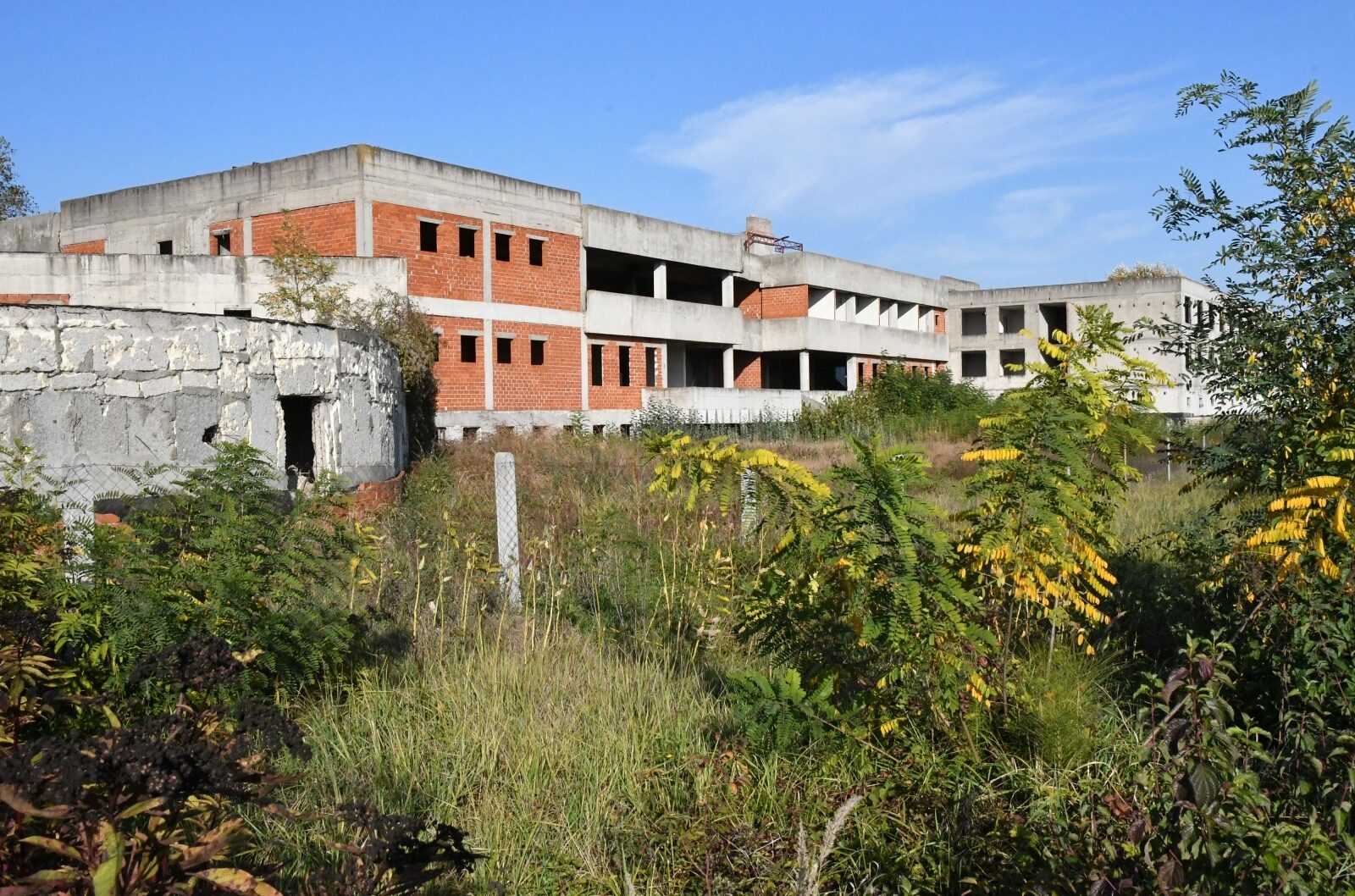 Foto: Ivica Galovic/PIXSELL