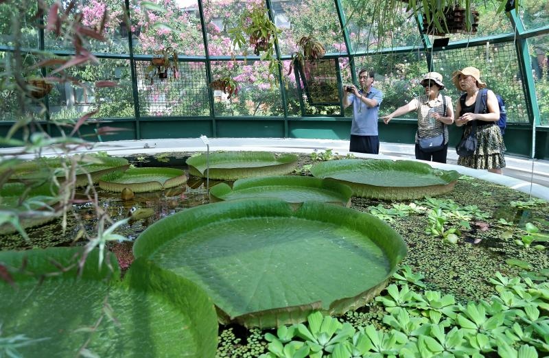 Foto: Sanjin Strukic/PIXSELL