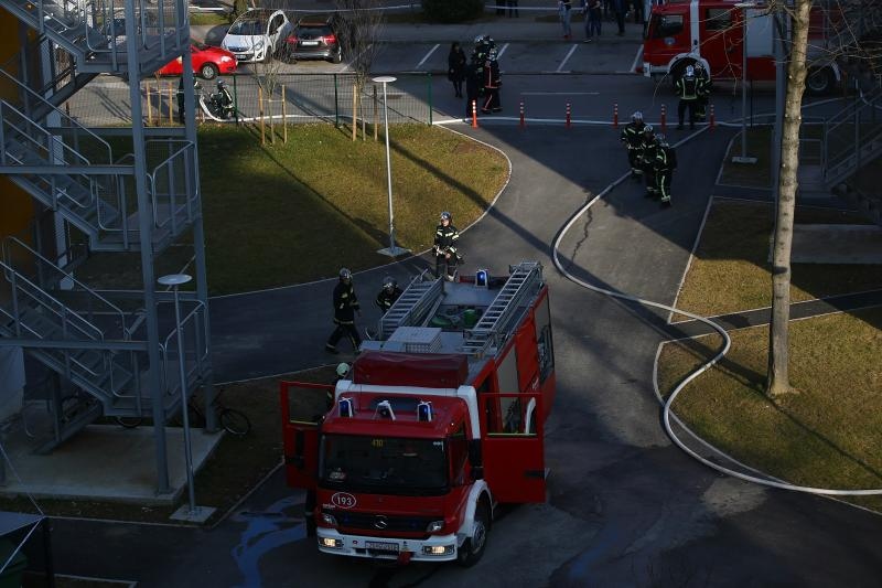 Foto: Željko Lukunić / Pixsell