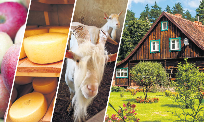 U jednom trenutku u proteklih nekoliko godina Ministarstvo poljoprivrede baratalo je podacima o čak