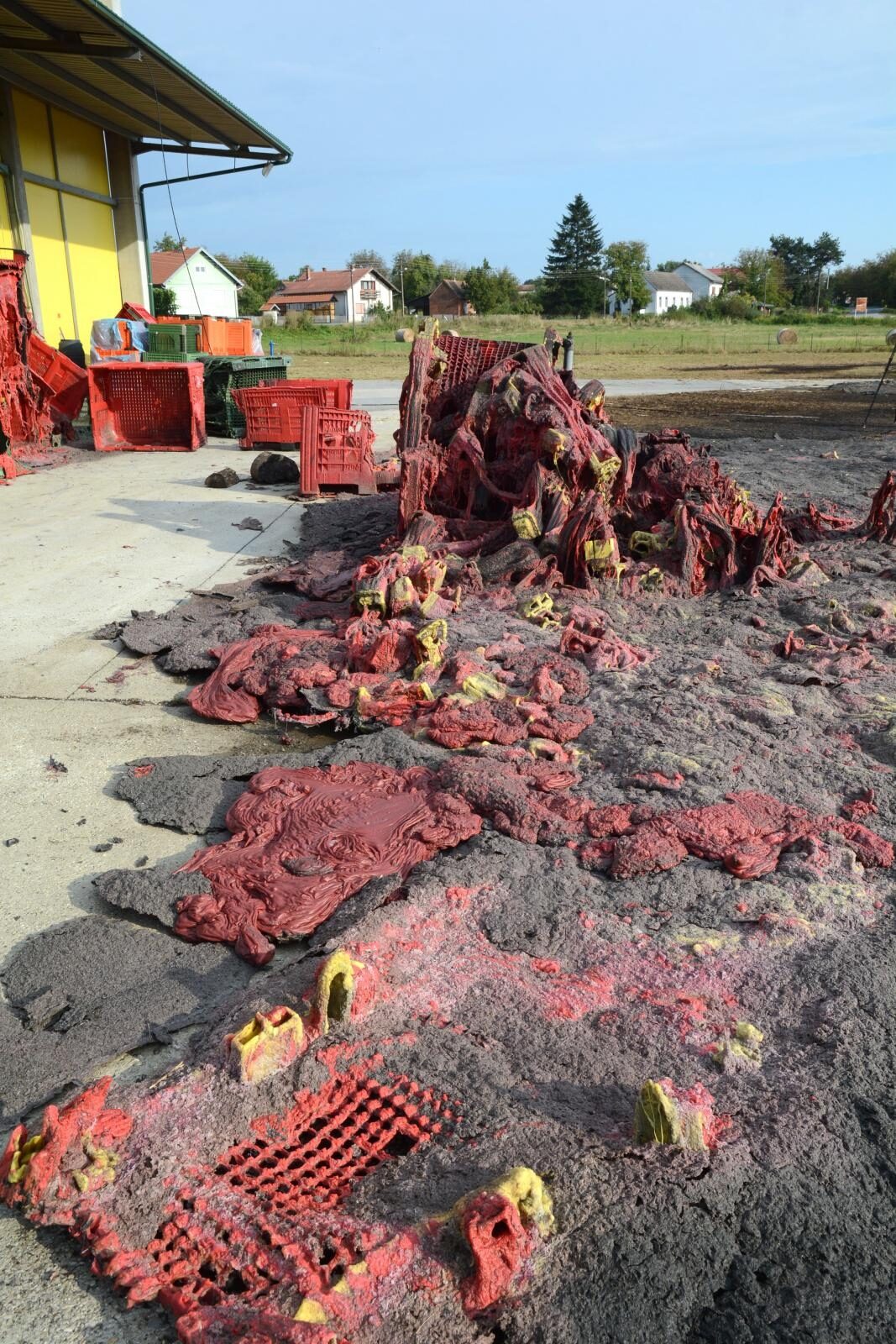 Foto: Nikola Cutuk/PIXSELL