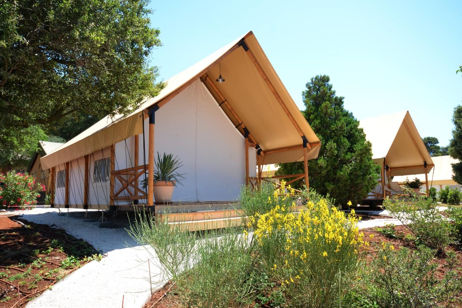 Foto: Dusko Marusic/PIXSELL