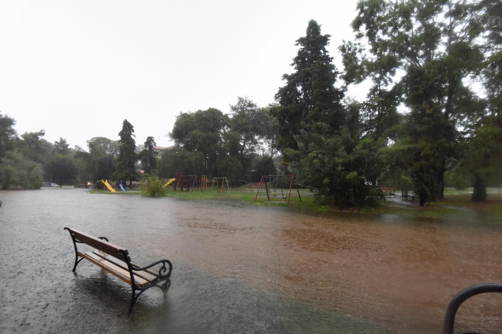 Foto: Dino Stanin/PIXSELL