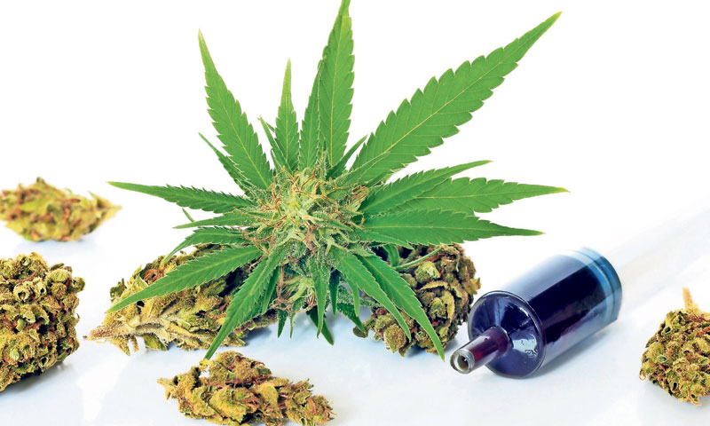 Zajednički projekt 3 tvrtke iz Austrije, Slovenije i Hrvatske počinje u travnju/Fotolia