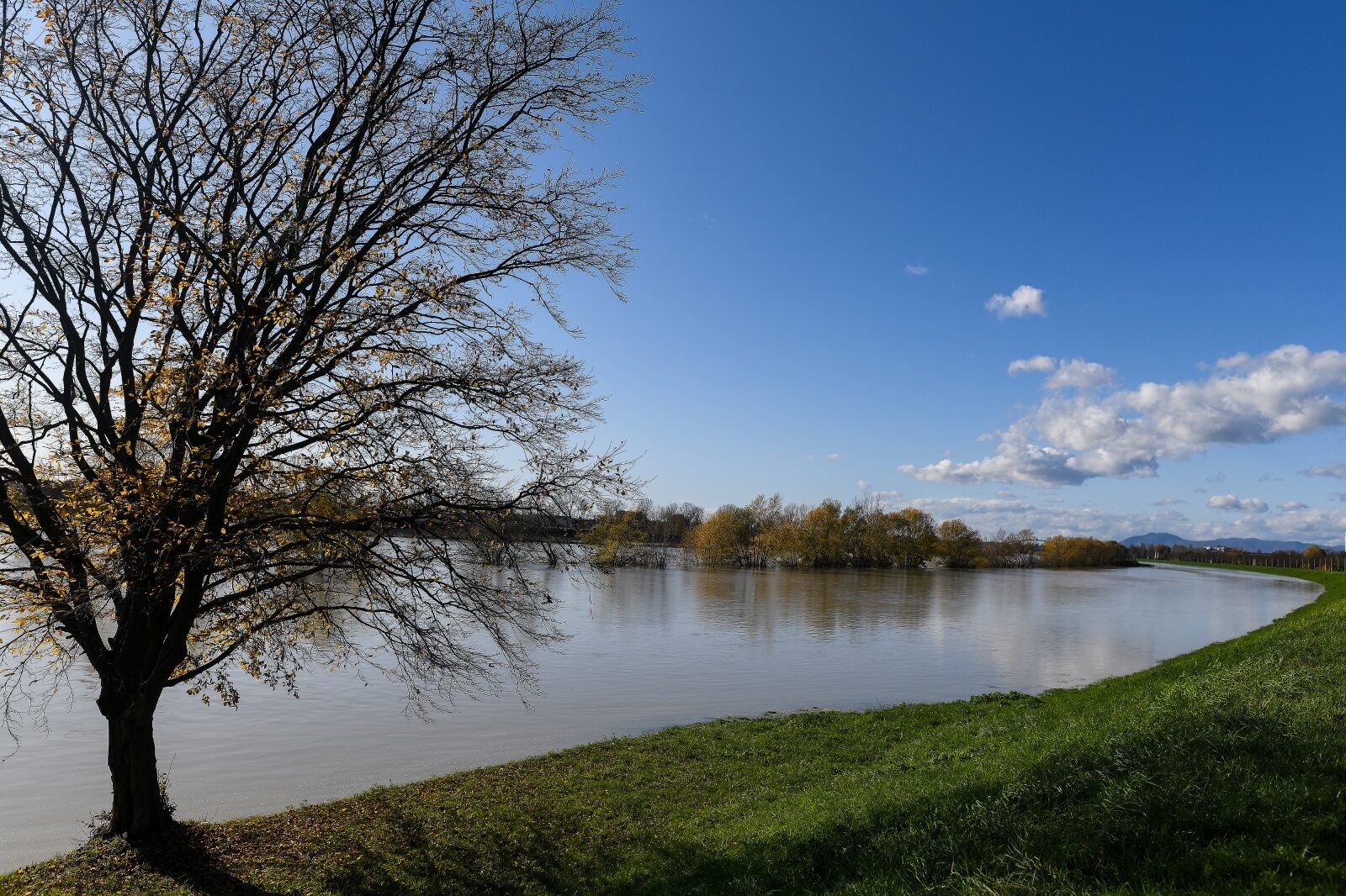 Foto: Sandra Simunovic/PIXSELL