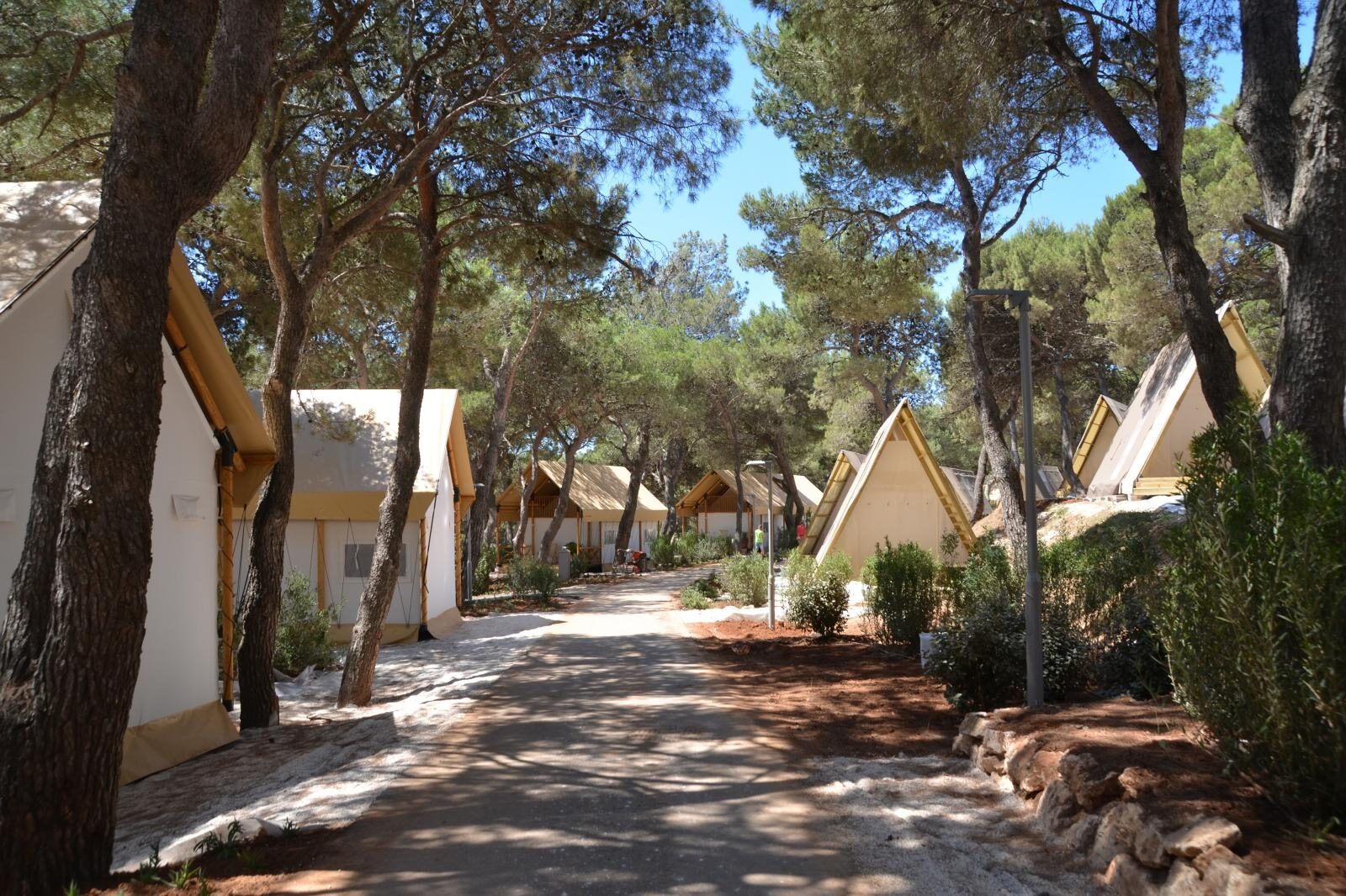 Foto: Dusko Marusic/PIXSELL