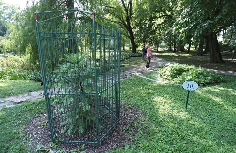 Foto: Sanjin Strukic/PIXSELL