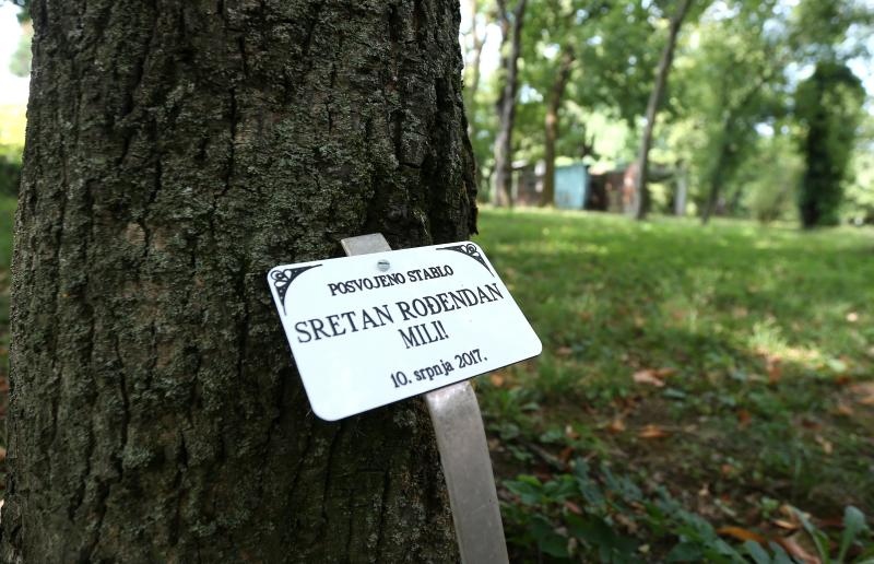 Foto: Sanjin Strukic/PIXSELL