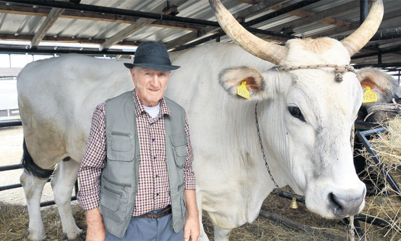 Mario Udovički s gudovačkim 'kapitalcem'/Damir Špehar/PIXSELL