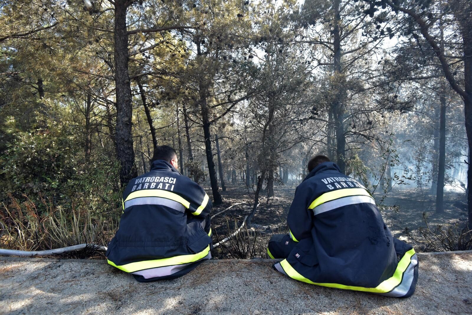 Foto: Dino Stanin/PIXSELL