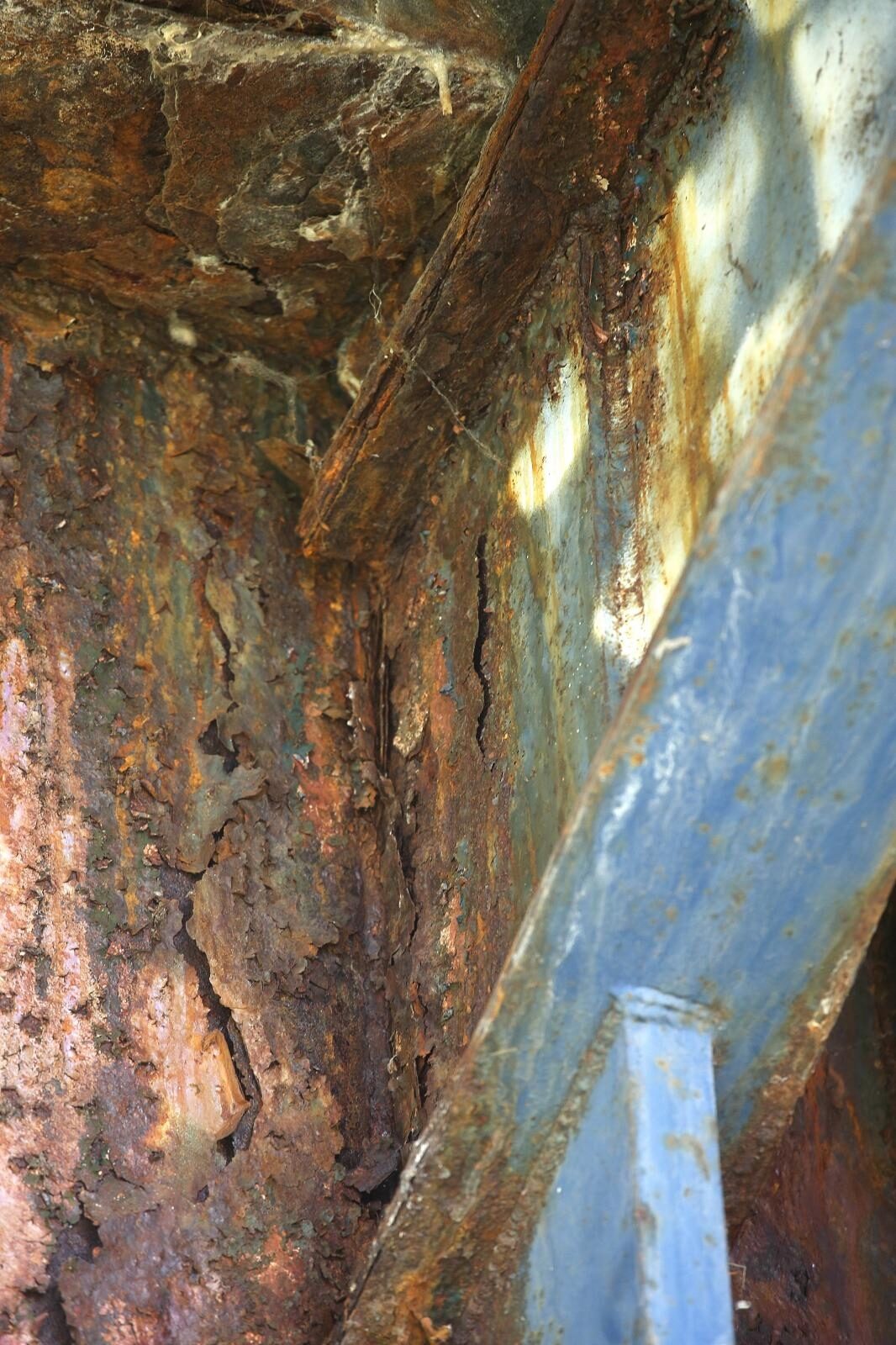 Foto: Žarko Bašić / Pixsell