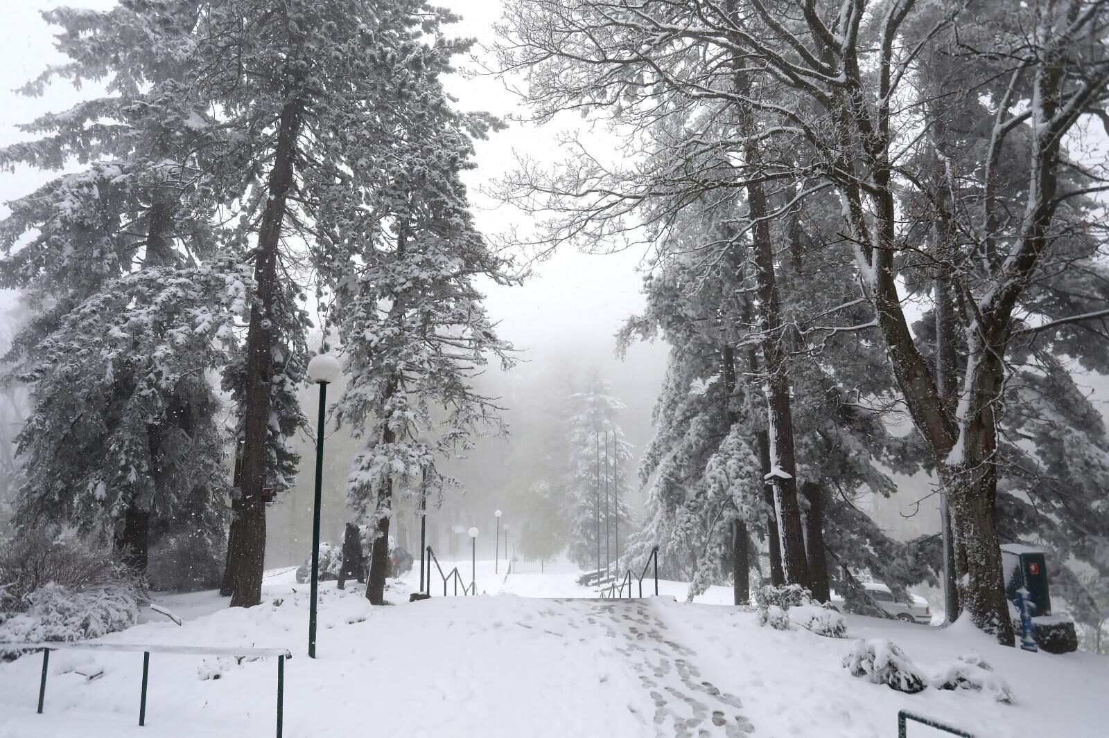 Foto: Patrik Macek/PIXSELL