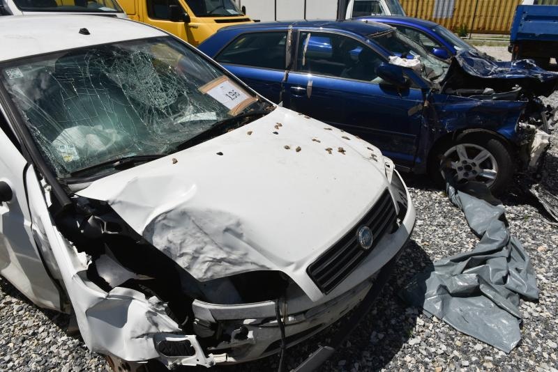 Foto: Davor Višnjić / Pixsell