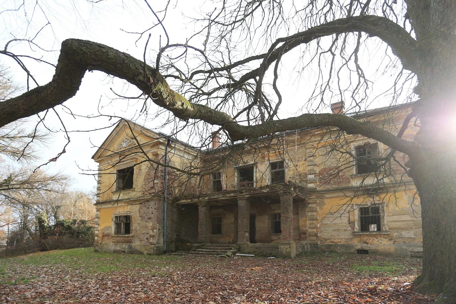 Foto: Davor Javorović / Pixsell