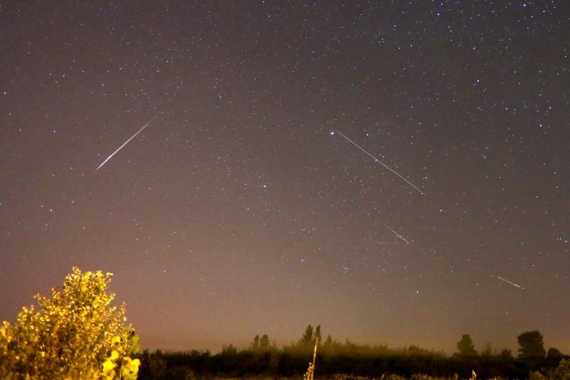 Foto: Borna Filic/PIXSELL