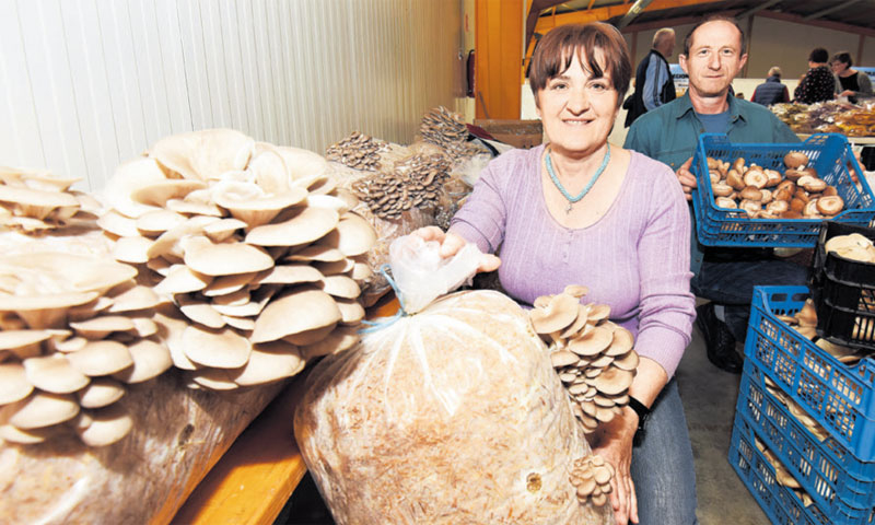 Bukovače iz domaće radinosti OPG-a Kišćinal iz Orehovice/Vjeran Žganec-Rogulja/PIXSELL