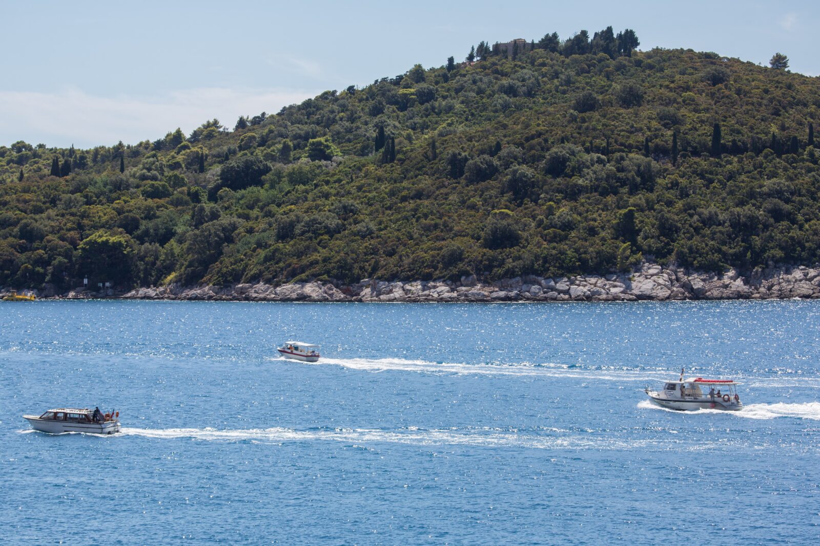 Foto: Grgo Jelavić / Pixsell