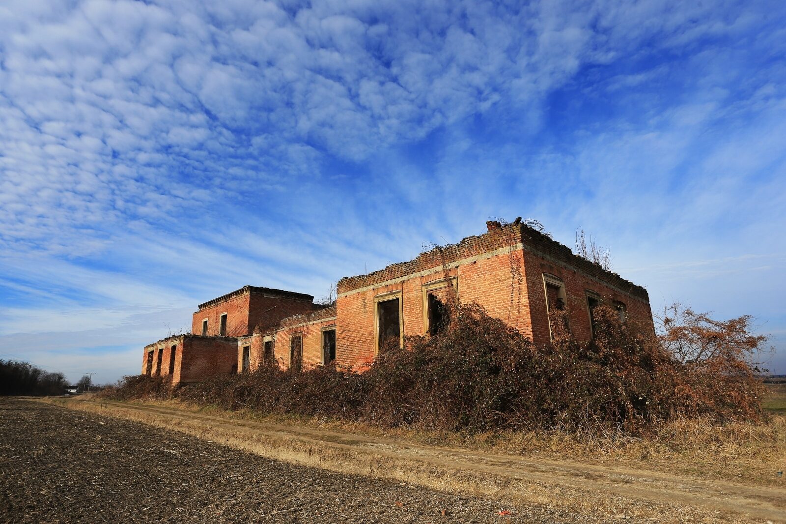 Foto: Davor Javorović / Pixsell