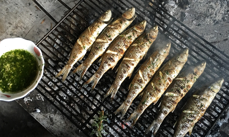 Foto: Duško Jaramaz/PIXSELL