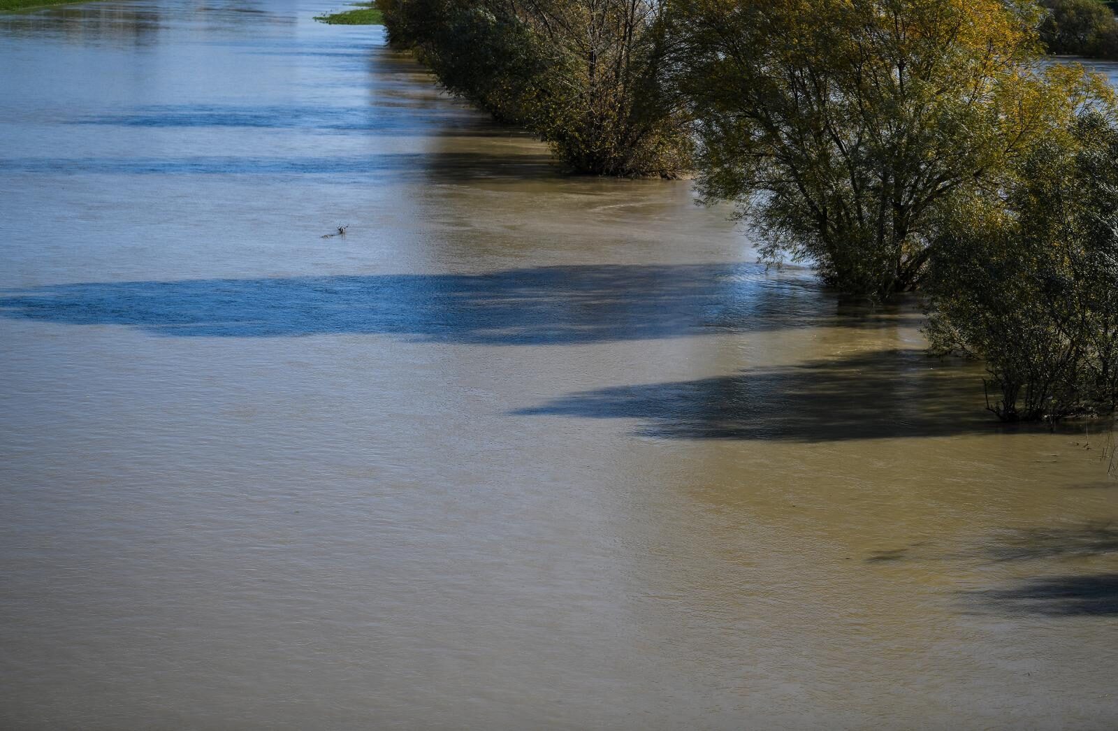 Foto: Sandra Simunovic/PIXSELL