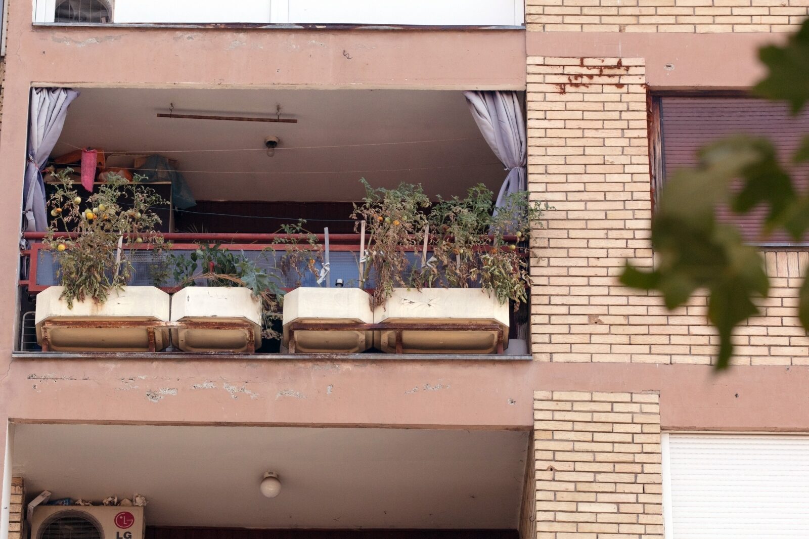 Foto: Dubravka Petrić / Pixsell