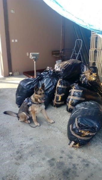 Foto: Ministarstvo financija, Carinska uprava